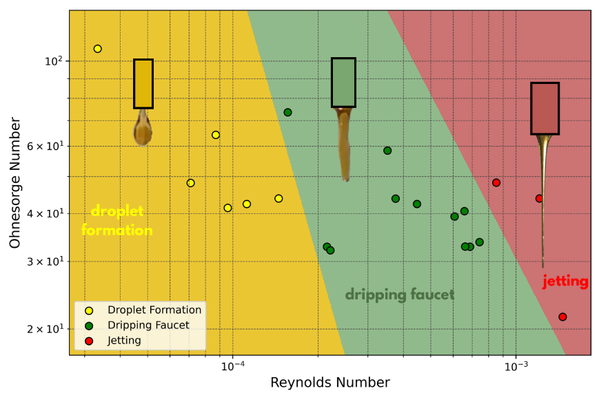 Bouncing honey image